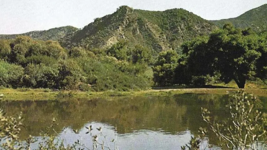 Abundant Water on Property