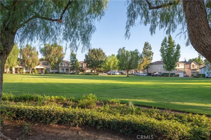 Green grassy area great for kids, dogs and activities