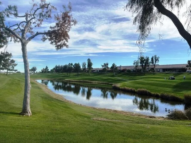 pond pond