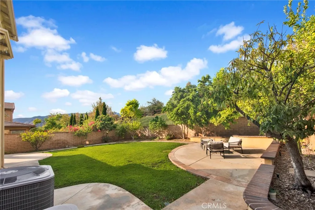 Backyard3