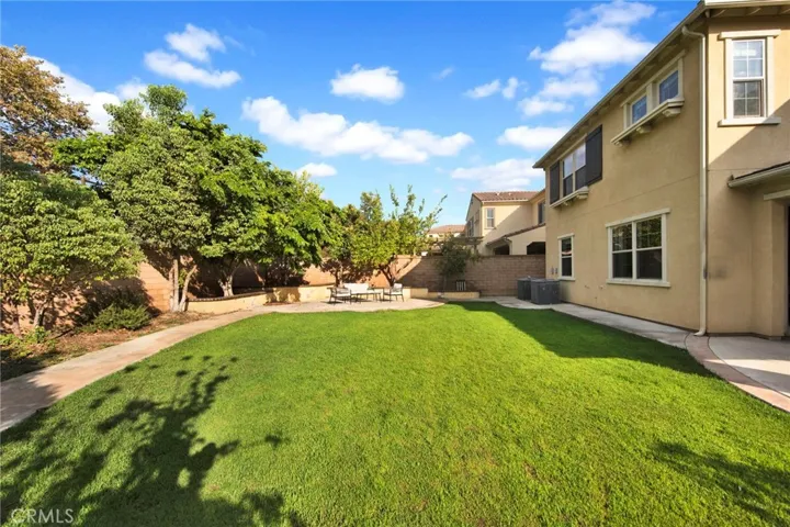 Backyard 2