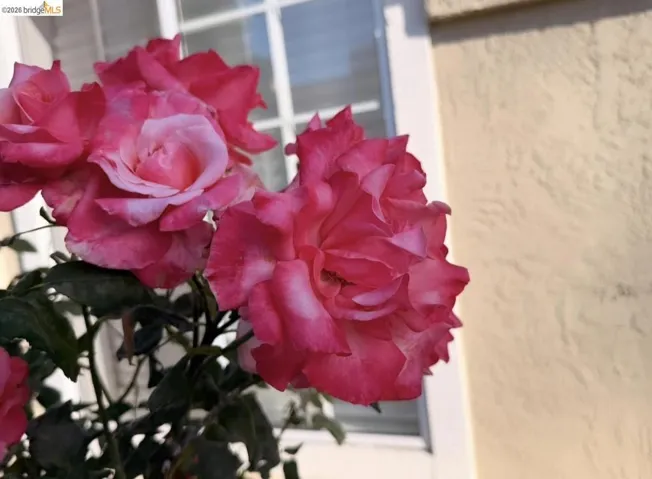428 Brookside Ct, Antioch, California 94509-6126 — photo 4
