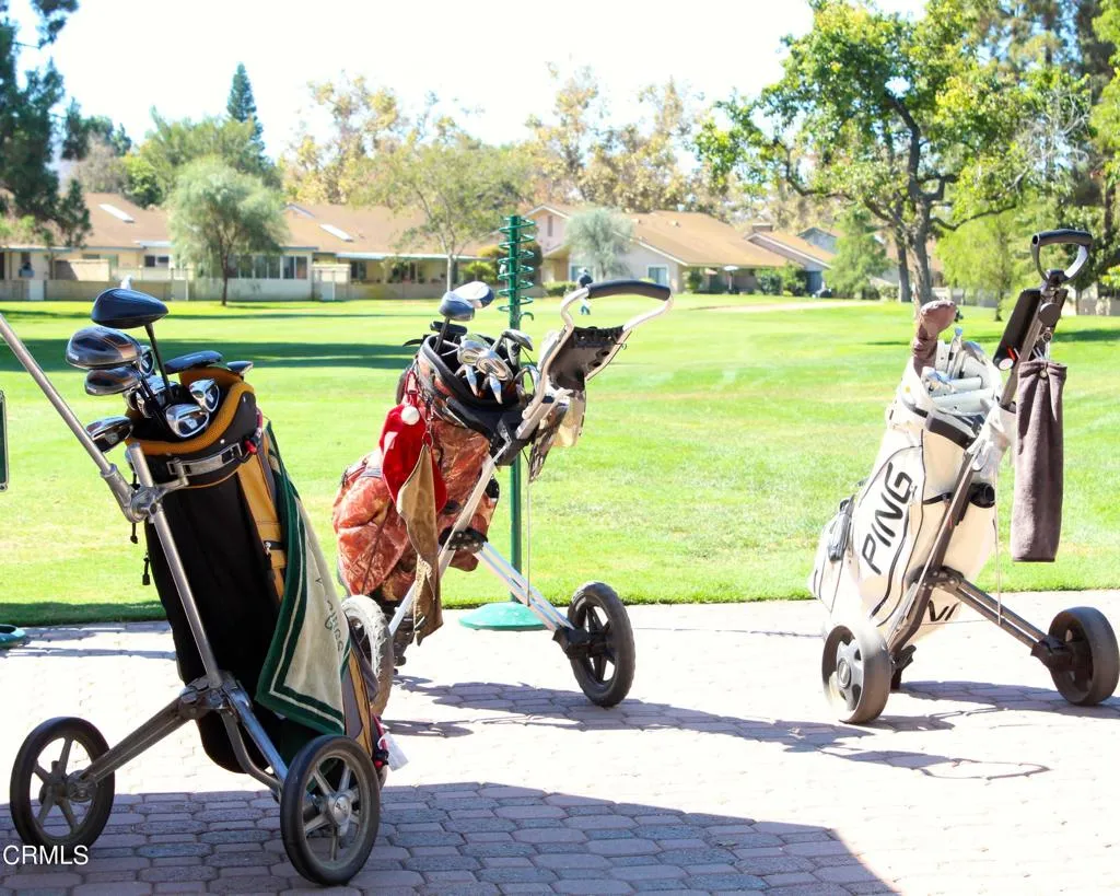 Enjoy golfing