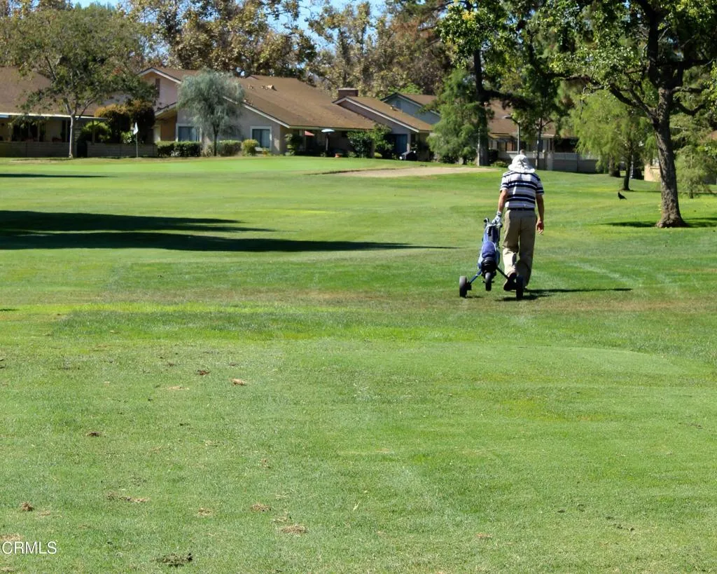 Golf