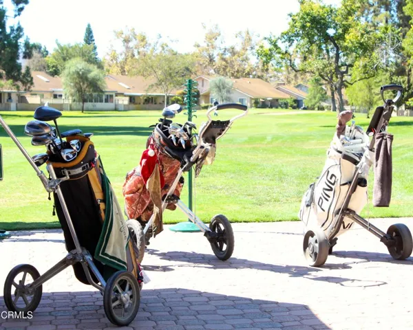 Enjoy golfing