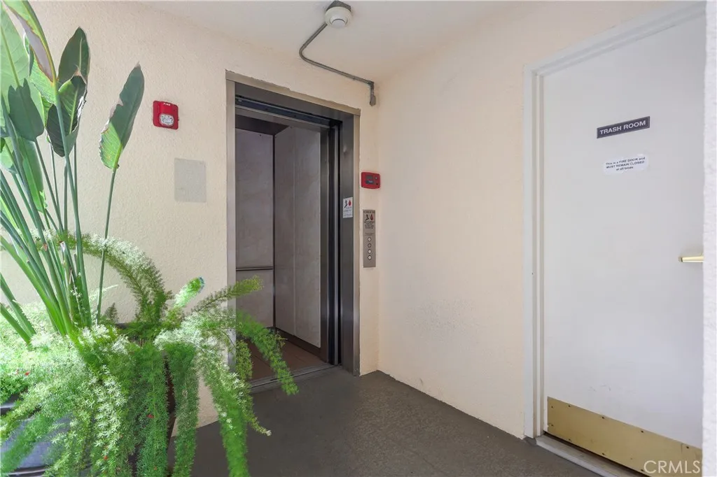 Elevator Elevator