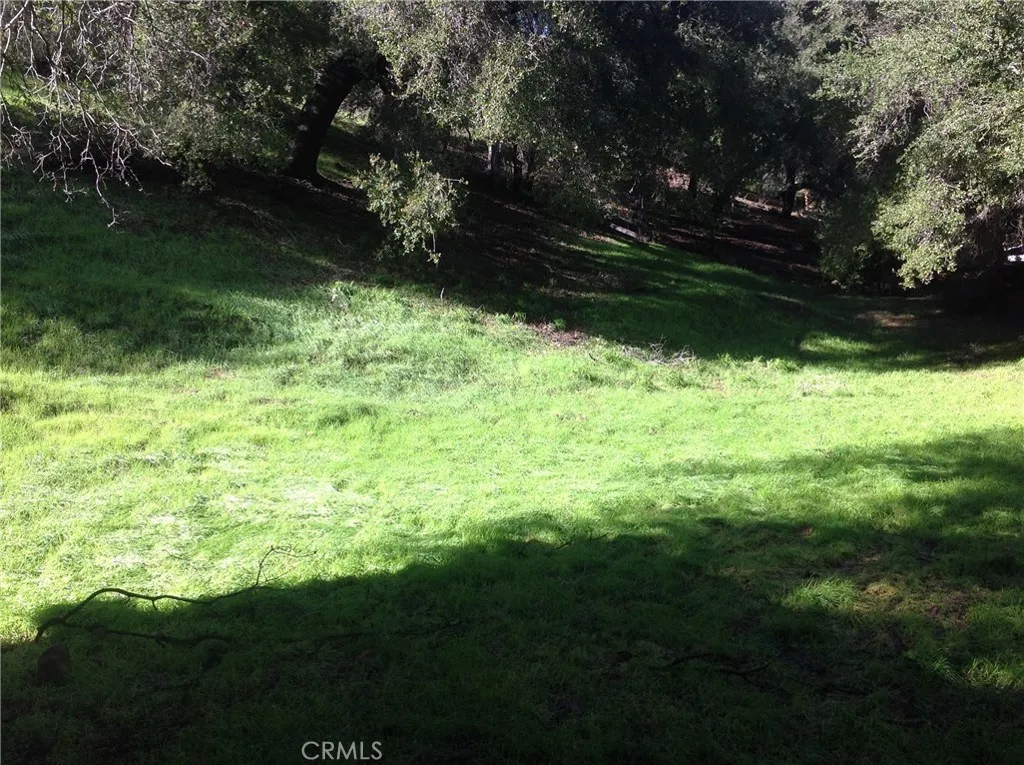Permitted Horse Pasture
