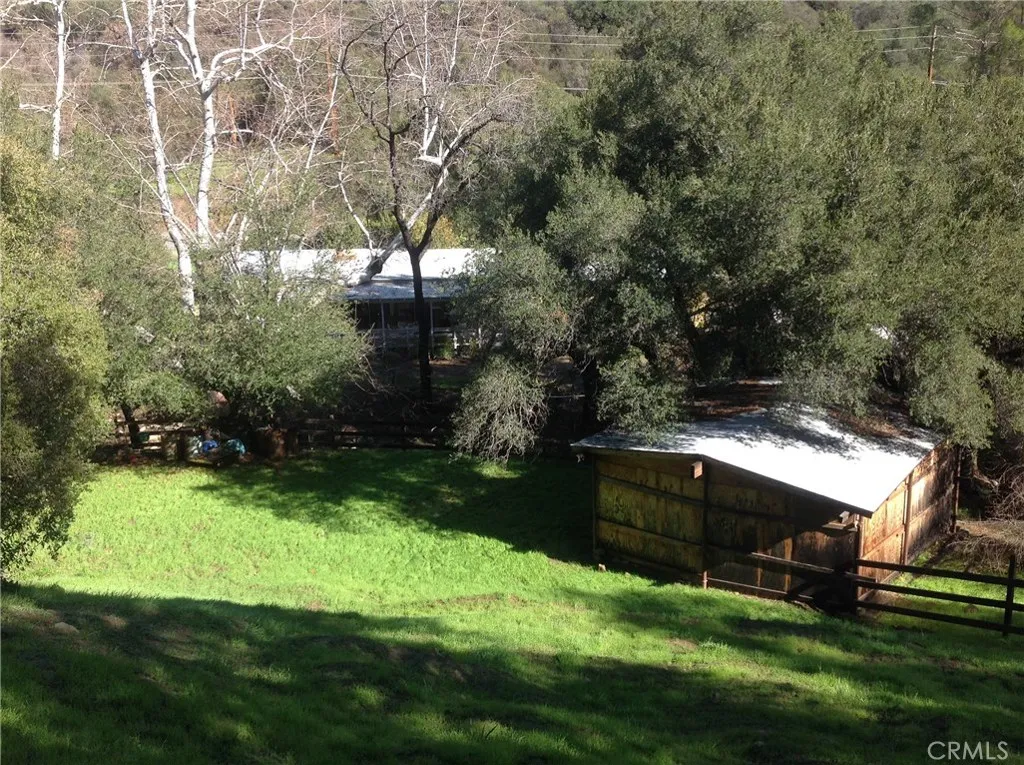 from up the back hill under the oak trees