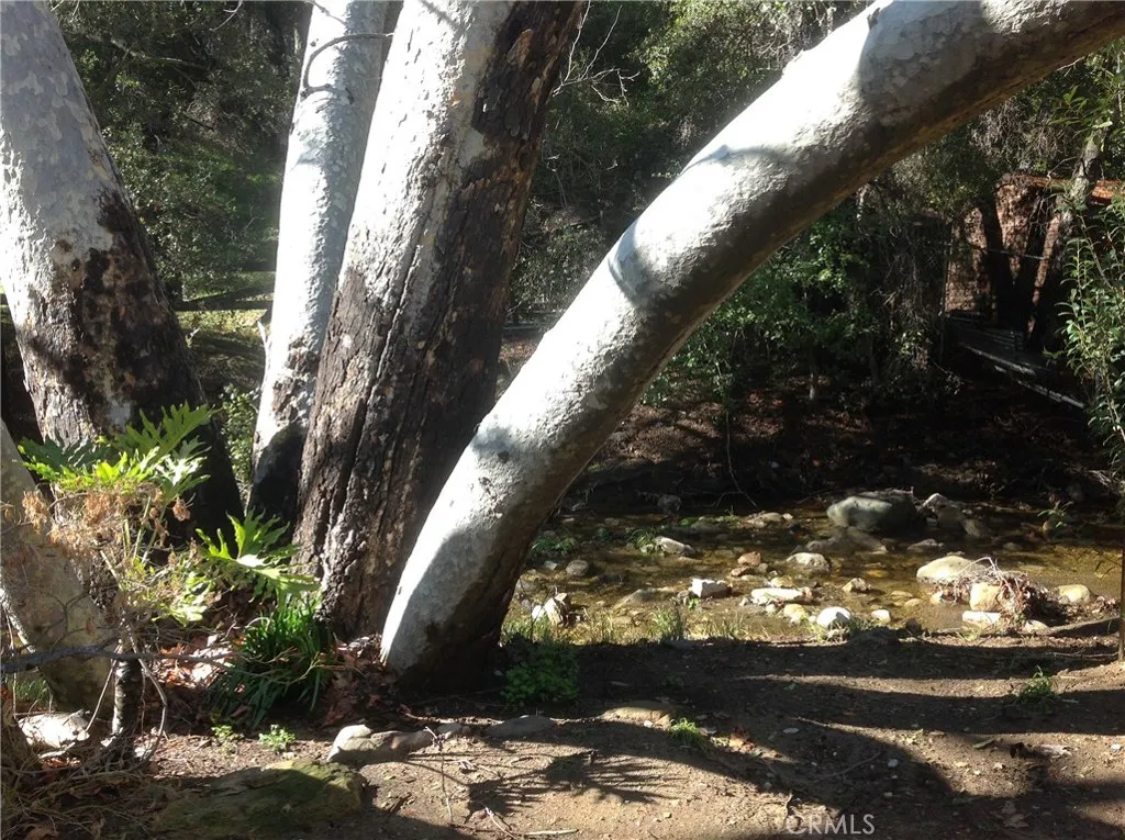 100+ year old giant Sycamore trees and oaks and Walnut line the beautiful Stream.
