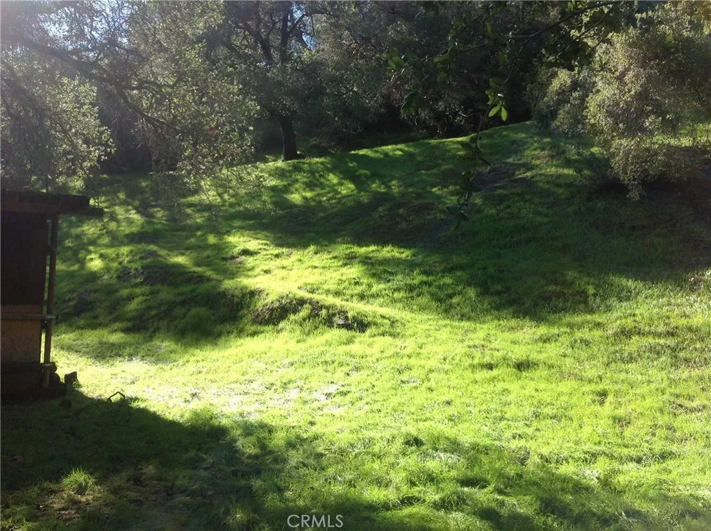 The far side of the creek