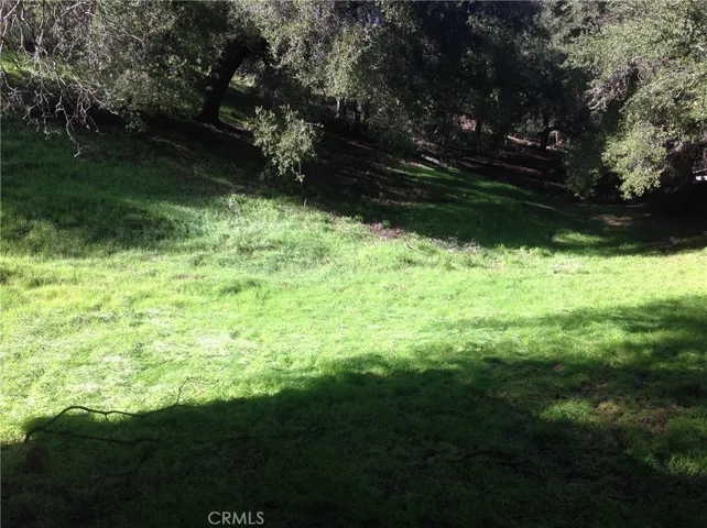 Permitted Horse Pasture