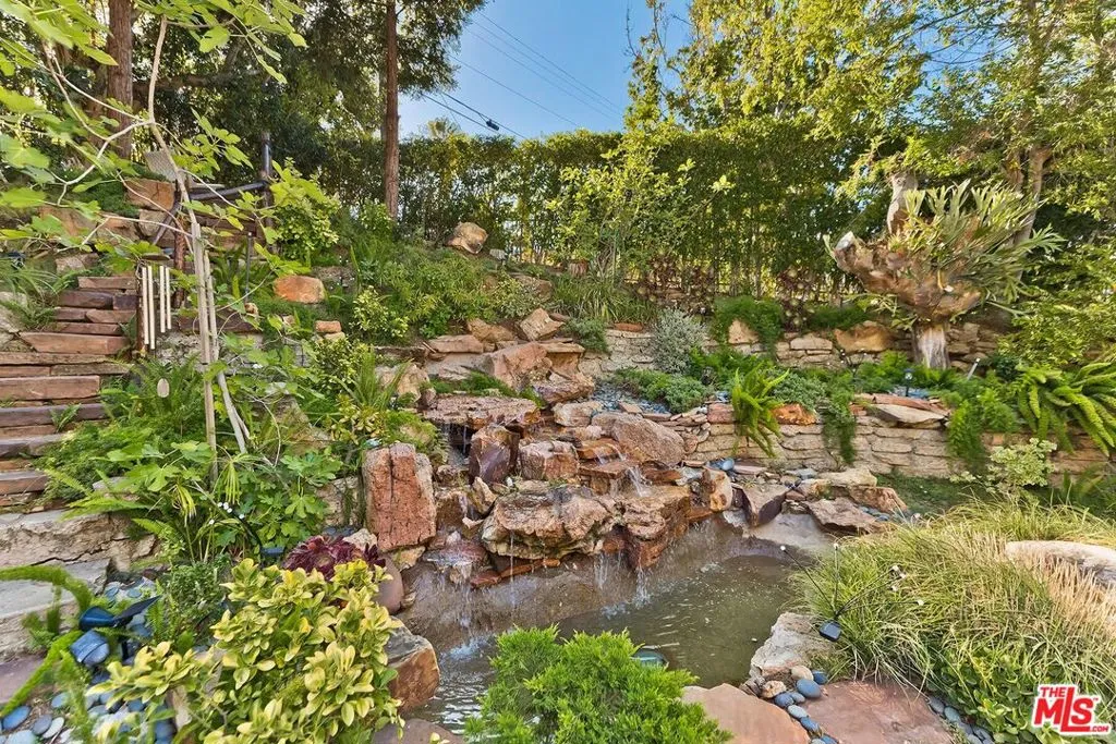 Backyard oasis