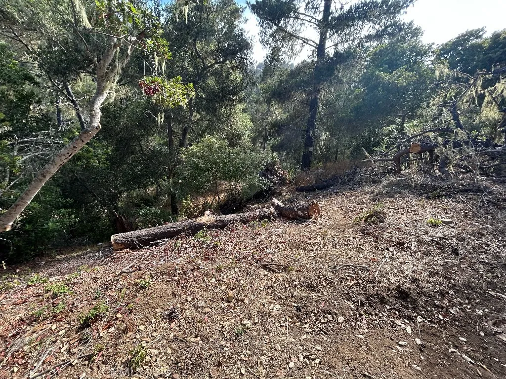2977 Ramsey Road, Cambria, California 93428 — photo 5
