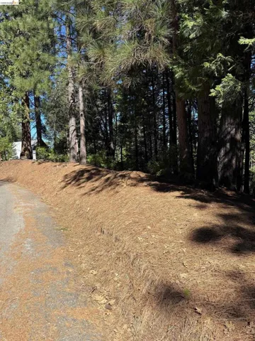 000 Lot 498 Oxbow Lane N, Sonora, California 95370 — photo 5