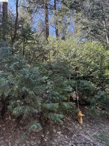 Lower portion of lot on Lower Oxbow Lane