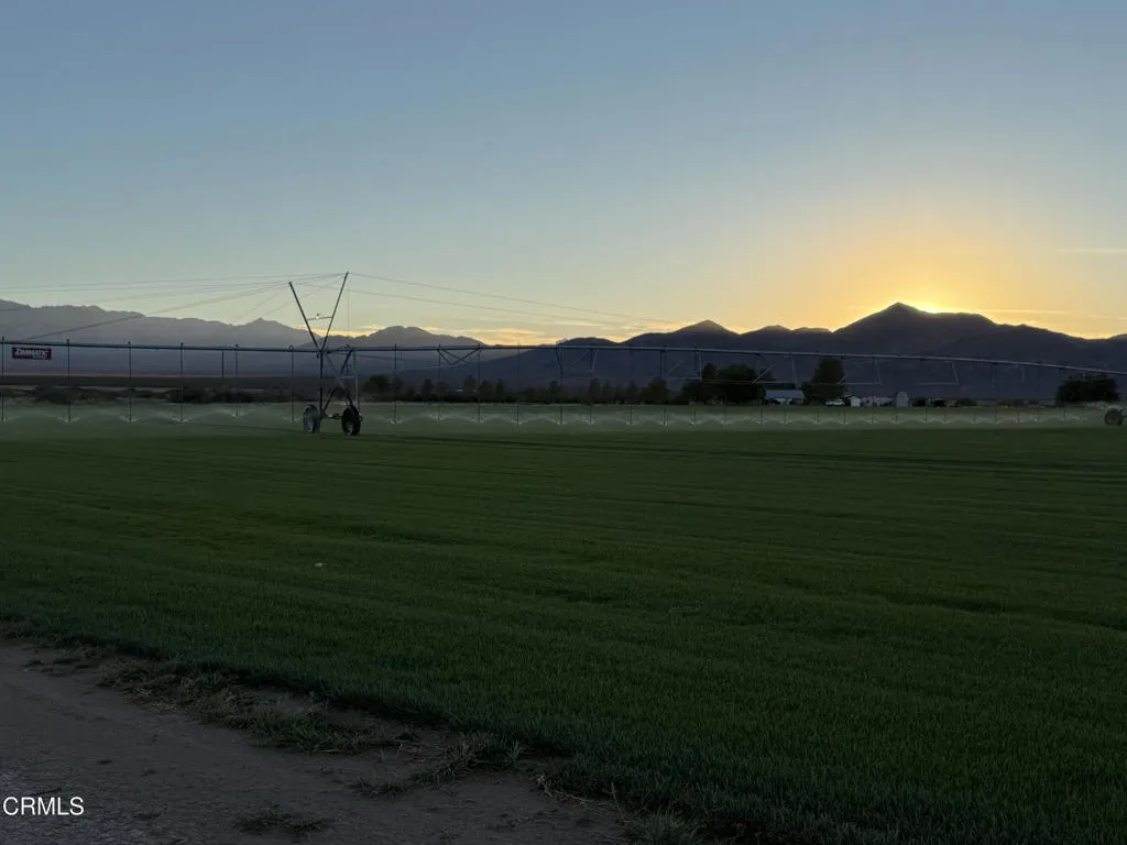 Turf Grass Sod Field Turf Grass Sod Field