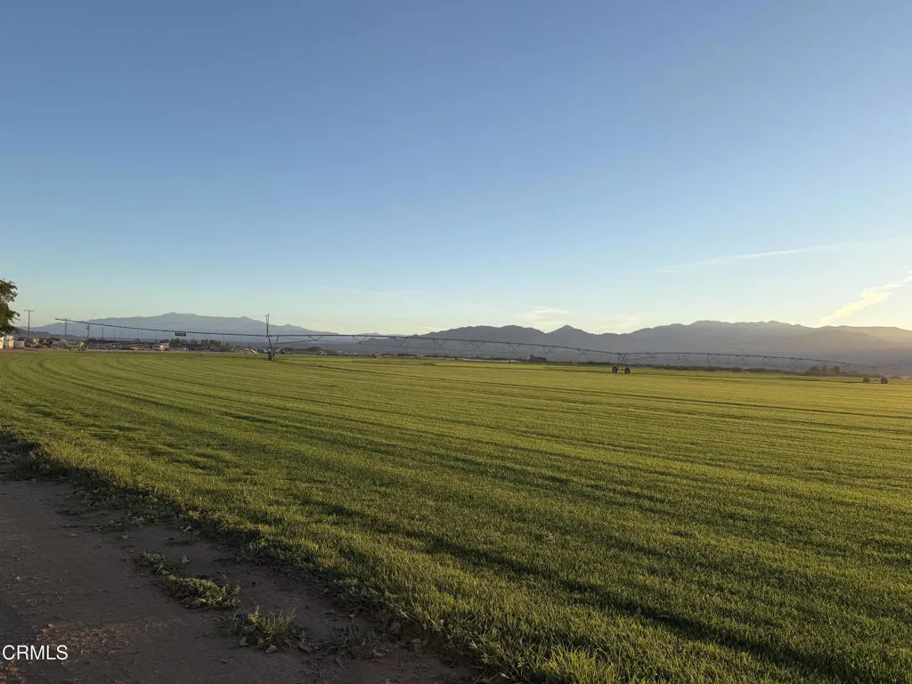 Turf Grass Sod Field Turf Grass Sod Field
