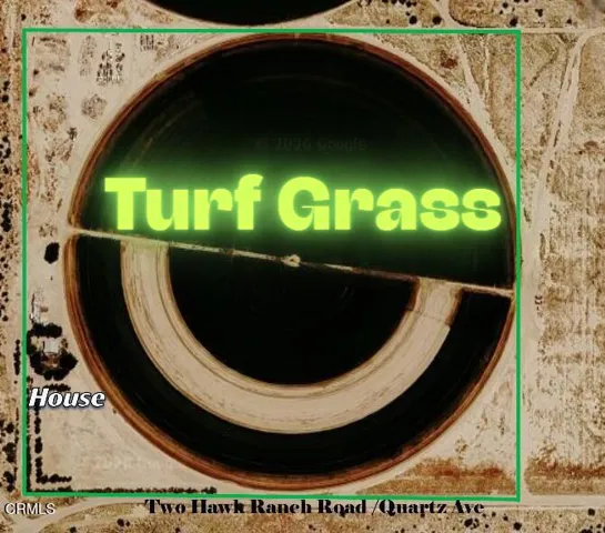 Turf Grass Sod Field
