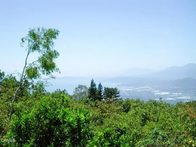 8561 Ocean View avocado trees and coasta
