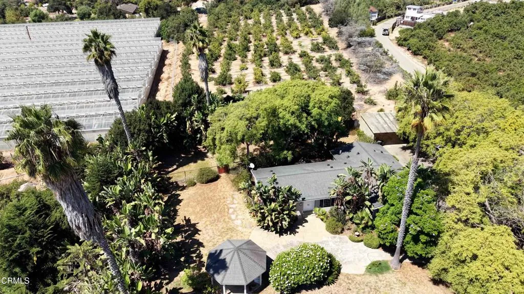 Overhead foothill 2
