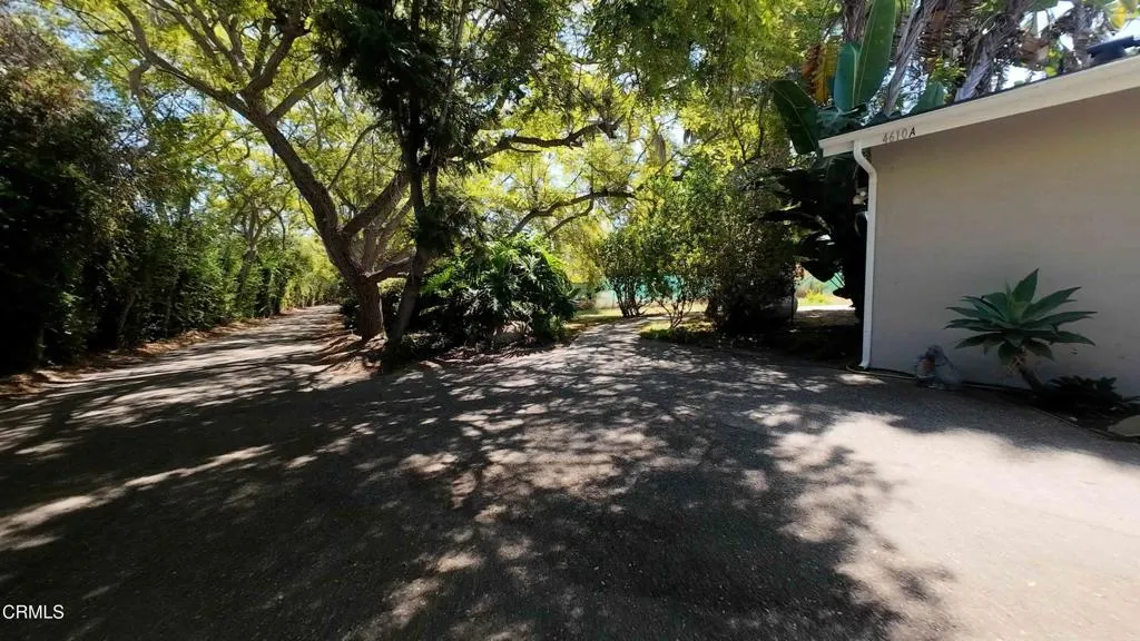 Looking down driveway away from foothill