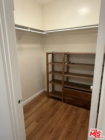 Walk-in closet off bathroom