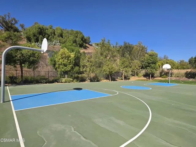 Basketball court