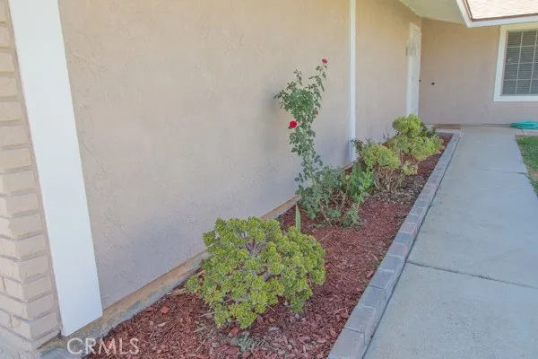 9229 Delano Drive, Riverside, California 92503 — photo 4