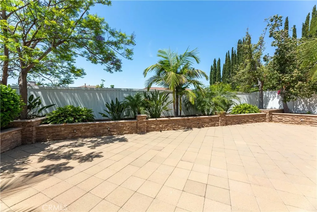 backyard backyard