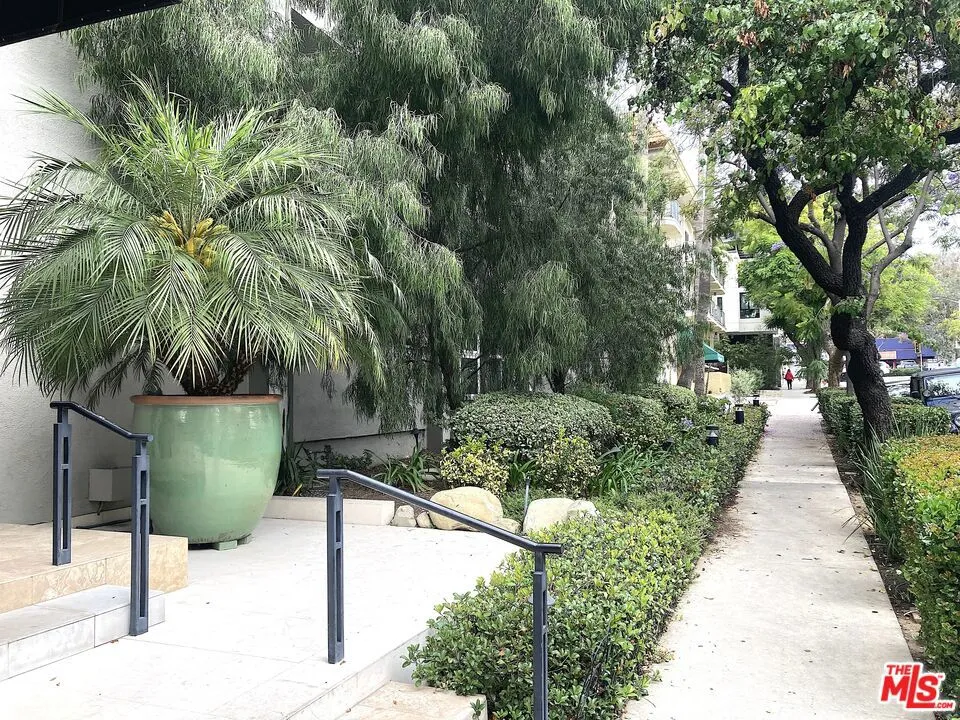 Front Garden