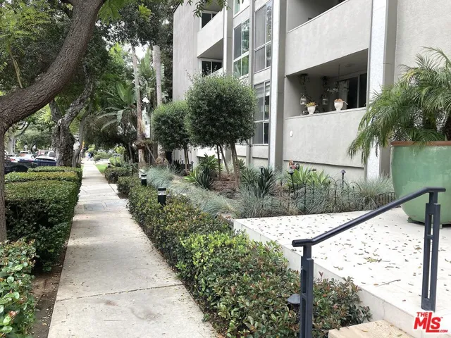 Front Garden