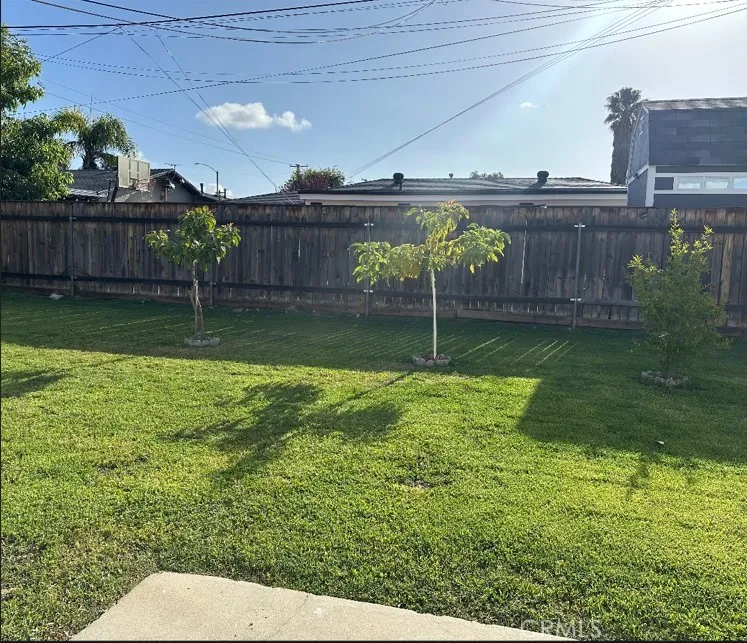 Backyard Backyard