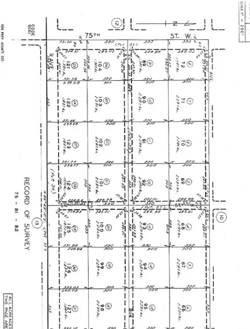 Lot 101