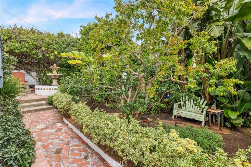 Tranquil backyard Tranquil backyard