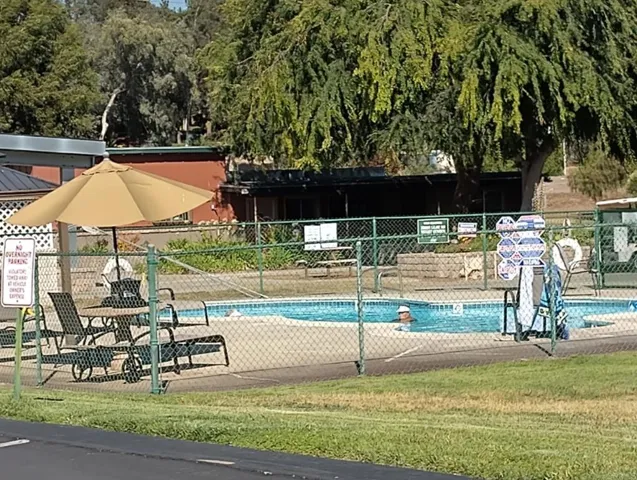 Refreshing Swimming pool