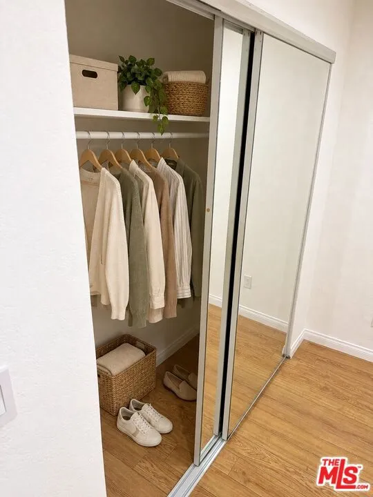 Bedroom Closet (Digitally Rend Bedroom Closet (Digitally Rend