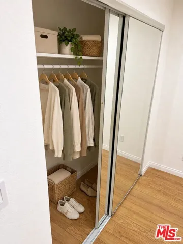 Bedroom Closet (Digitally Rend