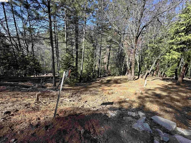 23956 Stable Rd, Sonora, California 95370 — photo 4
