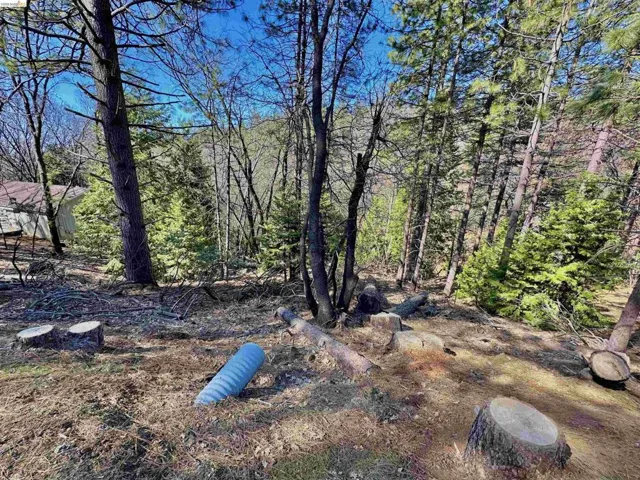 23956 Stable Rd, Sonora, California 95370 — photo 5