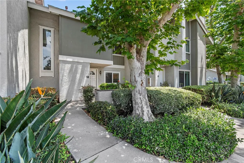 13 Sunflower Irvine CA
