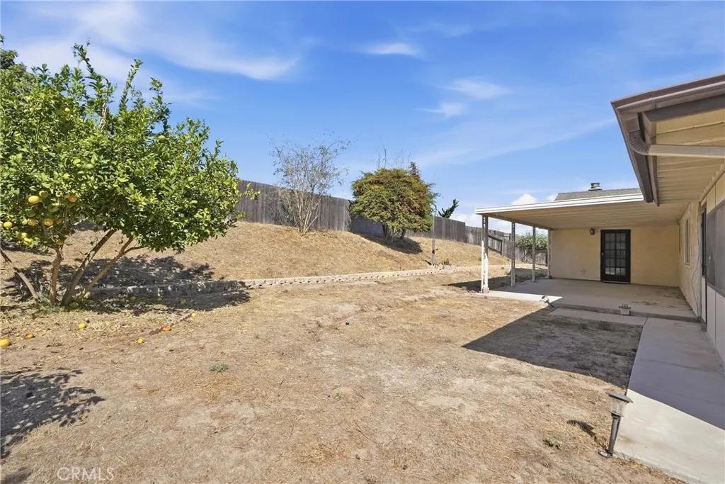 Back Yard Area
