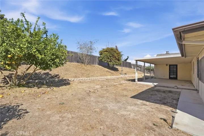 Back Yard Area