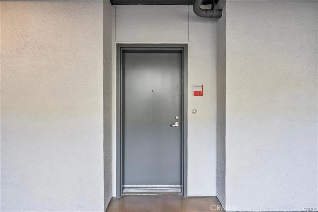 Unit #317 door