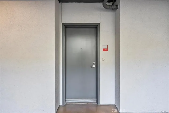 Unit #317 door