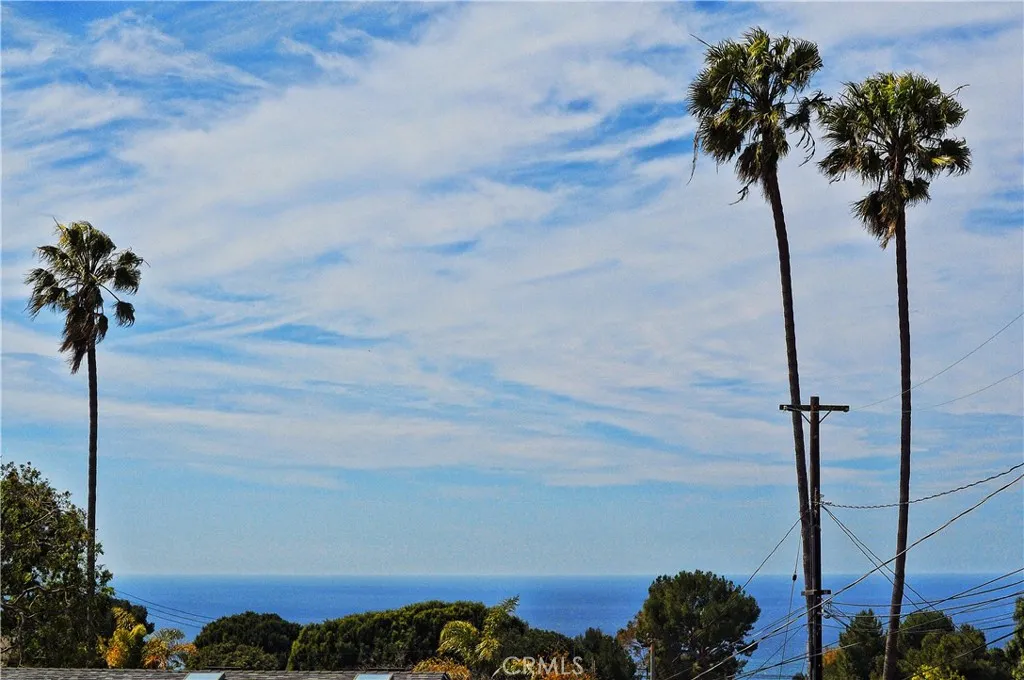 Ocean and palm trees from your backyard Ocean and palm trees from your backyard