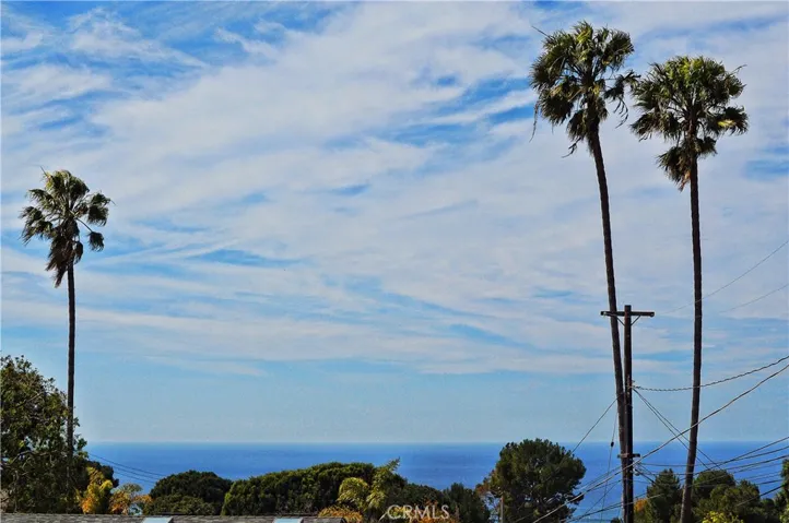 Ocean and palm trees from your backyard