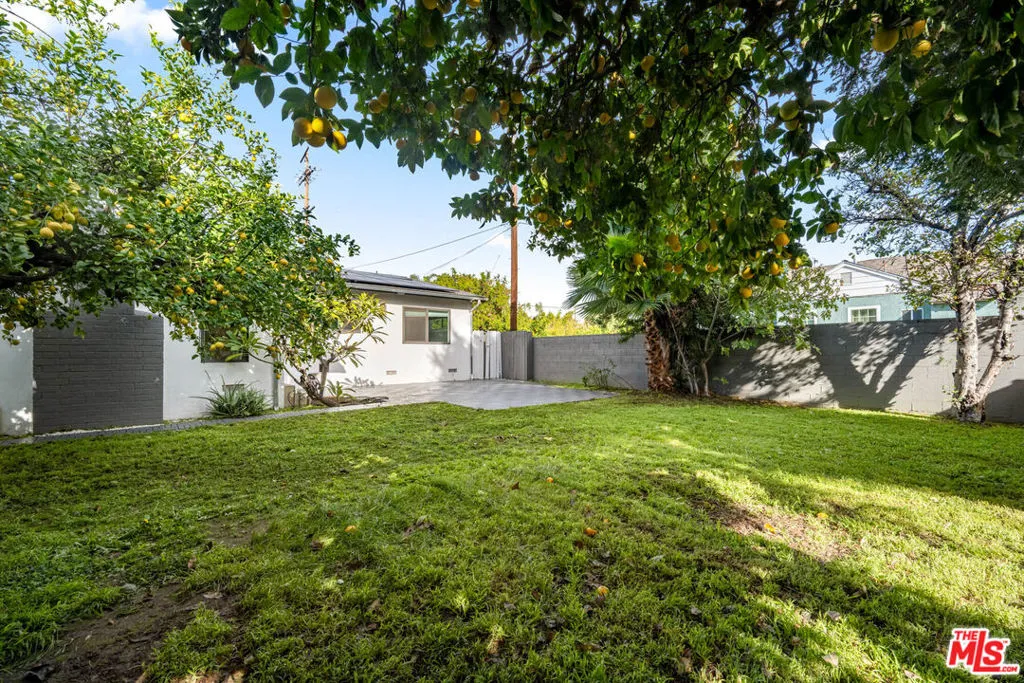Backyard Backyard