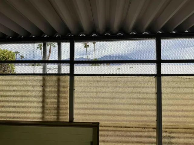 IMG_3870 d