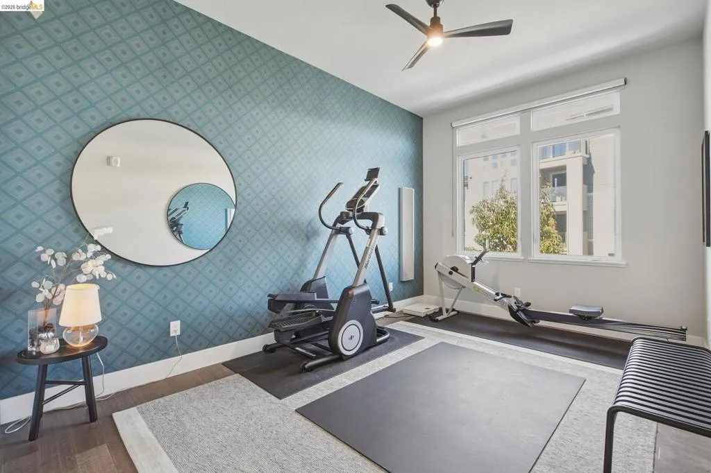 Accent wall with patterned wallpaper, large windows with roller blinds, and a ceiling fan
