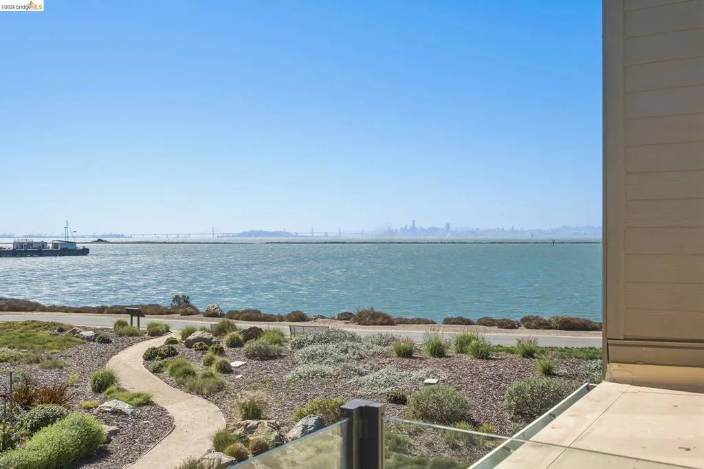 Waterfront setting featuring a distant city skyline and bridge